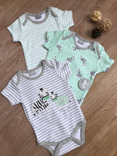 Rock a Bye Baby Unisex Zebra Green Grey 3 Pack Bodysuits (0-12 months)